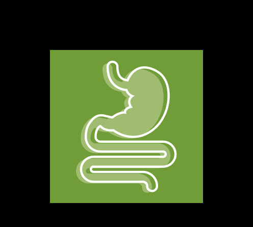 Uebersichtsseite Icon Verdauung